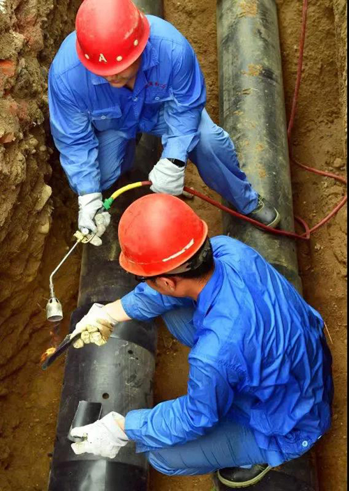 1729154613819218.jpg 1-2011151020322P.jpg